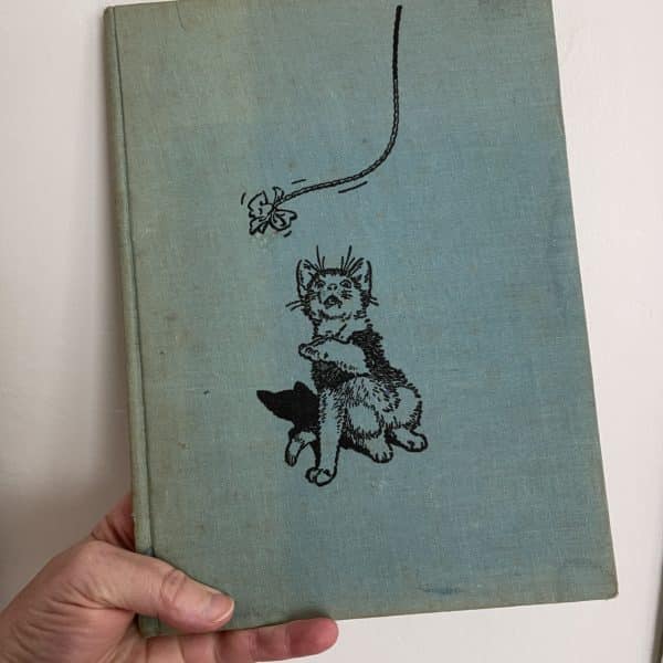 Introducing Kittens by Peter Jowett