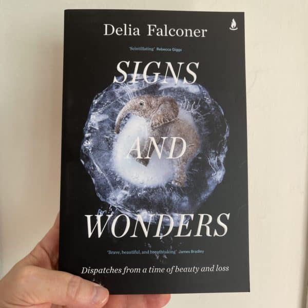 Signs and Wonders by Delia Falconer