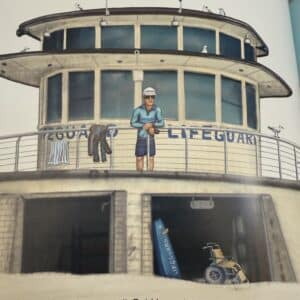 Harries - The Lifeguard from Bondi Beach by Anthony 'Harries' Carroll, Emily Carroll and Carla Hoffenberg (Illustrator) - Image 3